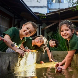 No Dia Mundial do Meio Ambiente; instituições de ensino apontam como crianças e jovens são apresentados à riqueza da fauna e da flora brasileira e à necessidade de preservar a natureza