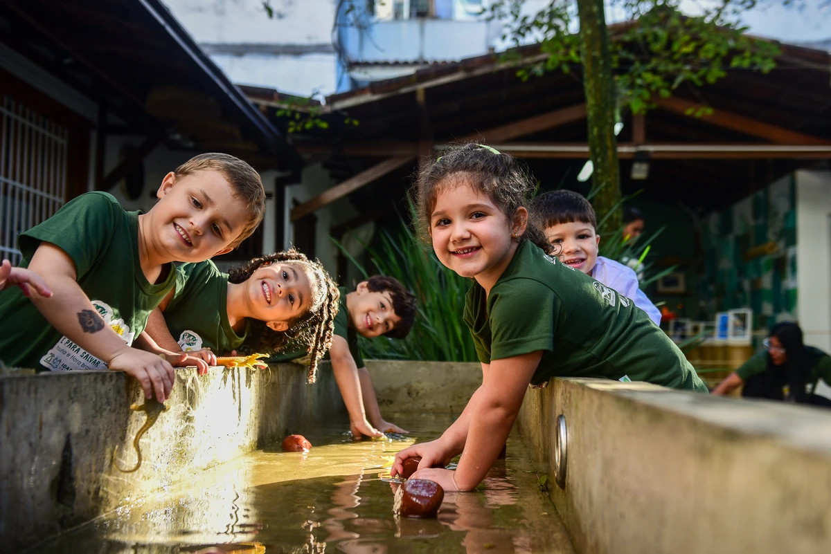 Projeto de educação ambiental no ensino infantil apresenta detalhes sobre a fauna e a flora para crianças