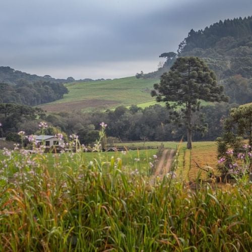 Imagem - 6 destinos para curtir o frio no Brasil