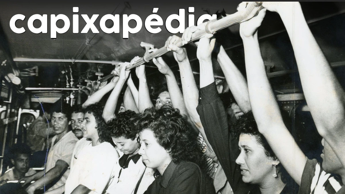A história do Terminal de Carapina, o primeiro da 'família Transcol' no ES