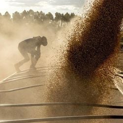 Impulso do agro devido à safra recorde garantiu forte desempenho da atividade de janeiro a março, mas economistas esperam menor ritmo de crescimento nos próximos trimestres. Entenda por quê.