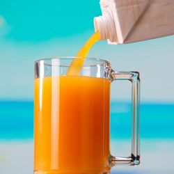 Veja como o consumo dessas bebidas podem beneficiar a saúde e a rotina