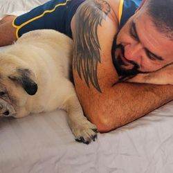 Com avanços na medicina veterinária e mudanças na relação entre seres humanos e pets, especialistas alertam para limites éticos do cuidado moderno
