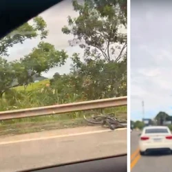Equipes da Ecovias 101, Polícia Rodoviária Federal e Polícia Científica foram acionadas