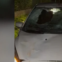 Motorista contou para a Polícia Militar que o pedestre entrou na pista de forma repentina