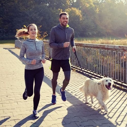 Imagem - 7 atividades físicas para praticar com o cachorro 