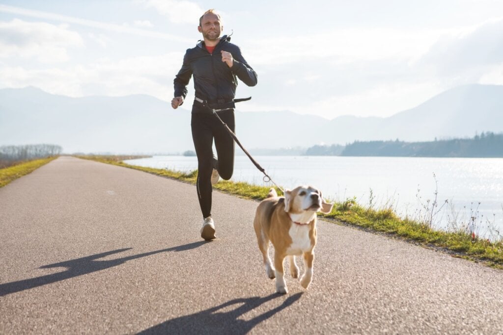 O cachorro precisa ser bem treinado para praticar canicross (Imagem: Soloviova Liudmyla | Shutterstock) 