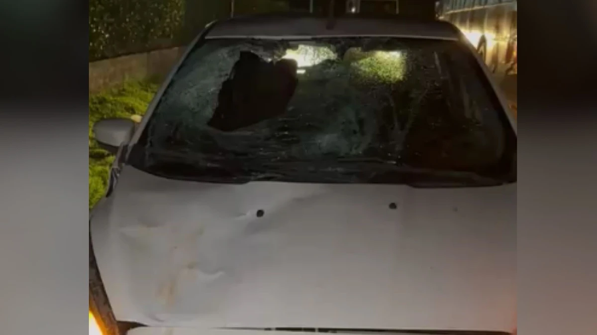 Veículo que atingiu pedestre em Barra de São Francisco 