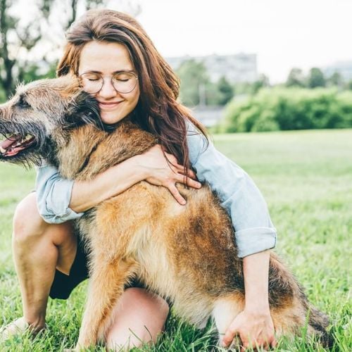 Imagem - 6 dicas de como agir ao resgatar um animal abandonado