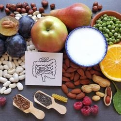 Estudo indica que alimentação pode ajudar a proteger o organismo de infecções