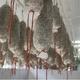 Antigos equipamentos utilizados para moer e pesar carnes no Sítio Lorenção