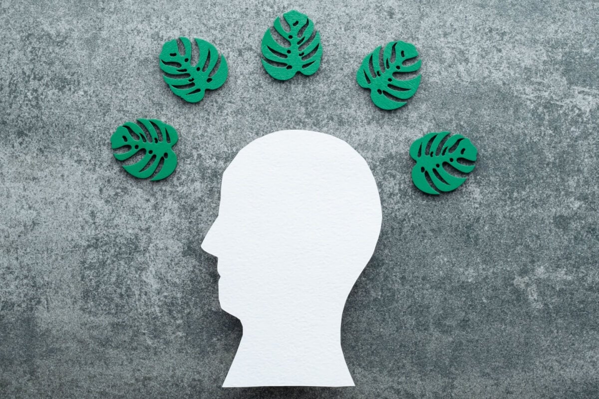 Tristeza, ansiedade e depressão são sinais comuns da solastalgia (Imagem: HalynaRom | Shutterstock)