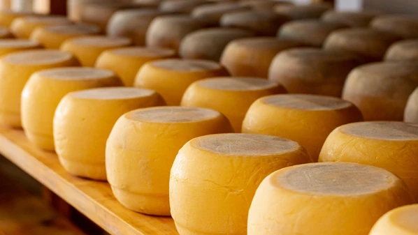 De 5 a 8 de junho, município será palco da 4ª edição do Festival Rota dos Queijos, com opções gastronômicas a partir de R$ 15