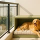 Casa pet-friendly 