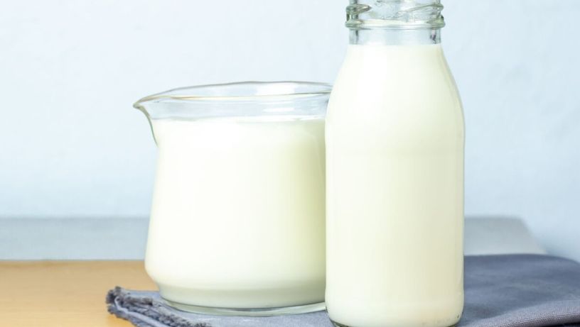 O leite é uma bebida que pode beneficiar a saúde (Imagem: Scream band | Shutterstock)