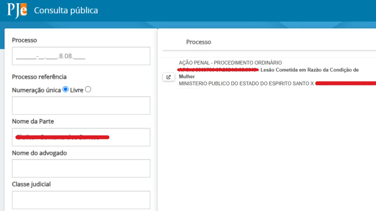 Linhas vermelhas foram adicionadas na imagem para preservar nome e dados da pessoa consultada