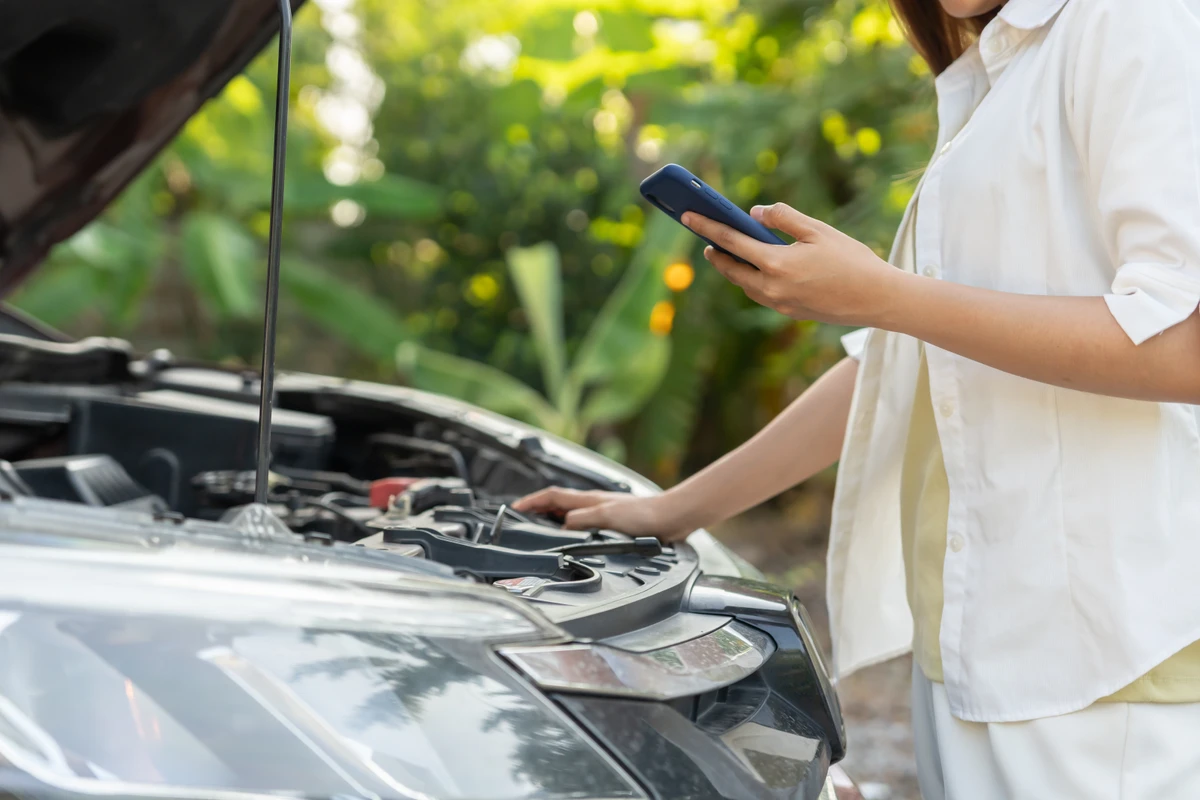 Seguradoras estão no Recall 2025