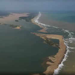 Região abriga uma das mais ricas biodiversidades da costa brasileira, com 255 espécies de aves, 47 de anfíbios, 54 de répteis e 54 de mamíferos