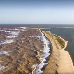 Decreto presidencial criando área de 45 mil hectares entre Aracruz e Linhares foi publicado nesta terça-feira (03) e passa a valer nesta quinta, Dia Mundial do Meio Ambiente