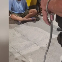 Suspeito de 36 anos foi autuado em flagrante por lesão corporal qualificada e ameaça na forma da Lei Maria da Penha e encaminhado ao presídio
