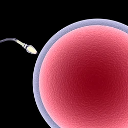 Diferente da inseminação artificial, a caseira é feita fora do ambiente hospitalar e apresenta riscos ao bebê e à gestante