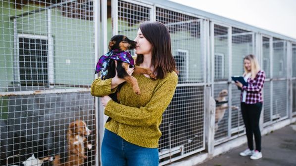 Descubra formas responsáveis de encontrar um novo companheiro para sua vida e transformar a realidade de um pet