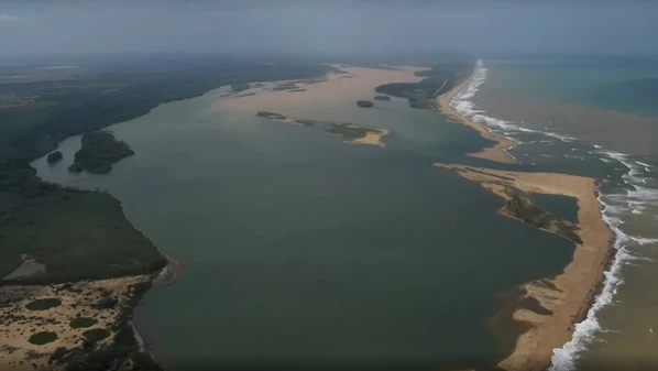 Região abriga uma das mais ricas biodiversidades da costa brasileira, com 255 espécies de aves, 47 de anfíbios, 54 de répteis e 54 de mamíferos