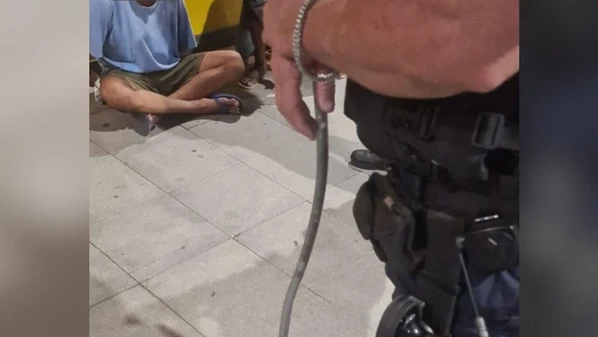 Suspeito de 36 anos foi autuado em flagrante por lesão corporal qualificada e ameaça na forma da Lei Maria da Penha e encaminhado ao presídio