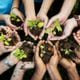 Pequenas ações diárias podem contribuir para um futuro mais sustentável 
