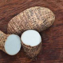 Nutritivo e versátil, o tubérculo é cada vez mais valorizado por suas propriedades funcionais