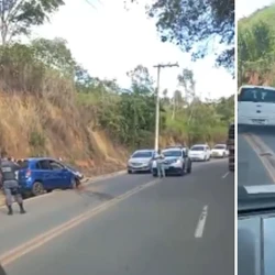 Motorista contou que abaixou o vidro para que o inseto saísse, mas acabou perdendo o controle da direção e caiu em canaleta, colidindo contra barranco em seguida