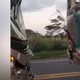 Imagem - Engavetamento entre três ônibus deixa nove feridos na BR 101