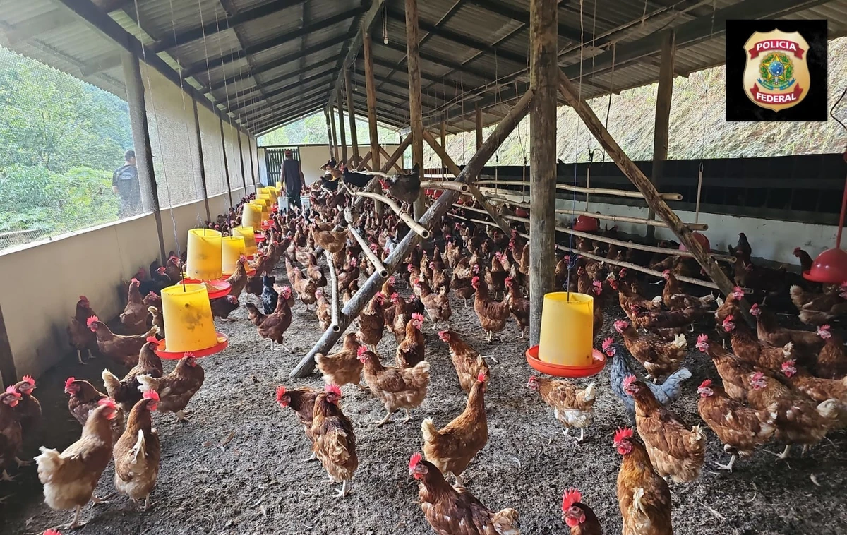 Local alvo de buscas da Polícia Federal durante a Operação "Sea Chest" por Divulgação | Polícia Federal