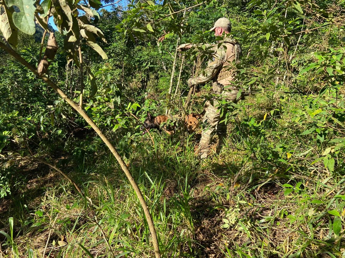Local alvo de buscas da Polícia Federal durante a Operação "Sea Chest" por Divulgação | Polícia Federal