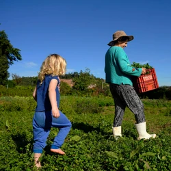 No Espírito Santo, do total de 604.466 empreendedores capixabas registrados no primeiro trimestre de 2025, 90.519 têm 60 anos ou mais — sendo 25.685 mulheres nessa faixa etária
