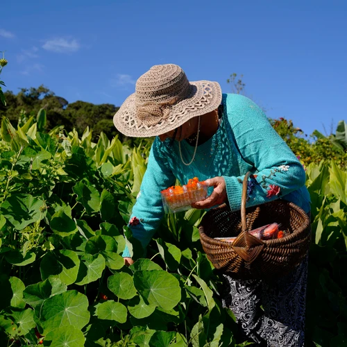 Imagem - Rádio Gazeta em Linhares estreia programa Momento Agro