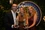 Giuliano Bresciani, Fernanda e Patricia Penina  (Multivix)