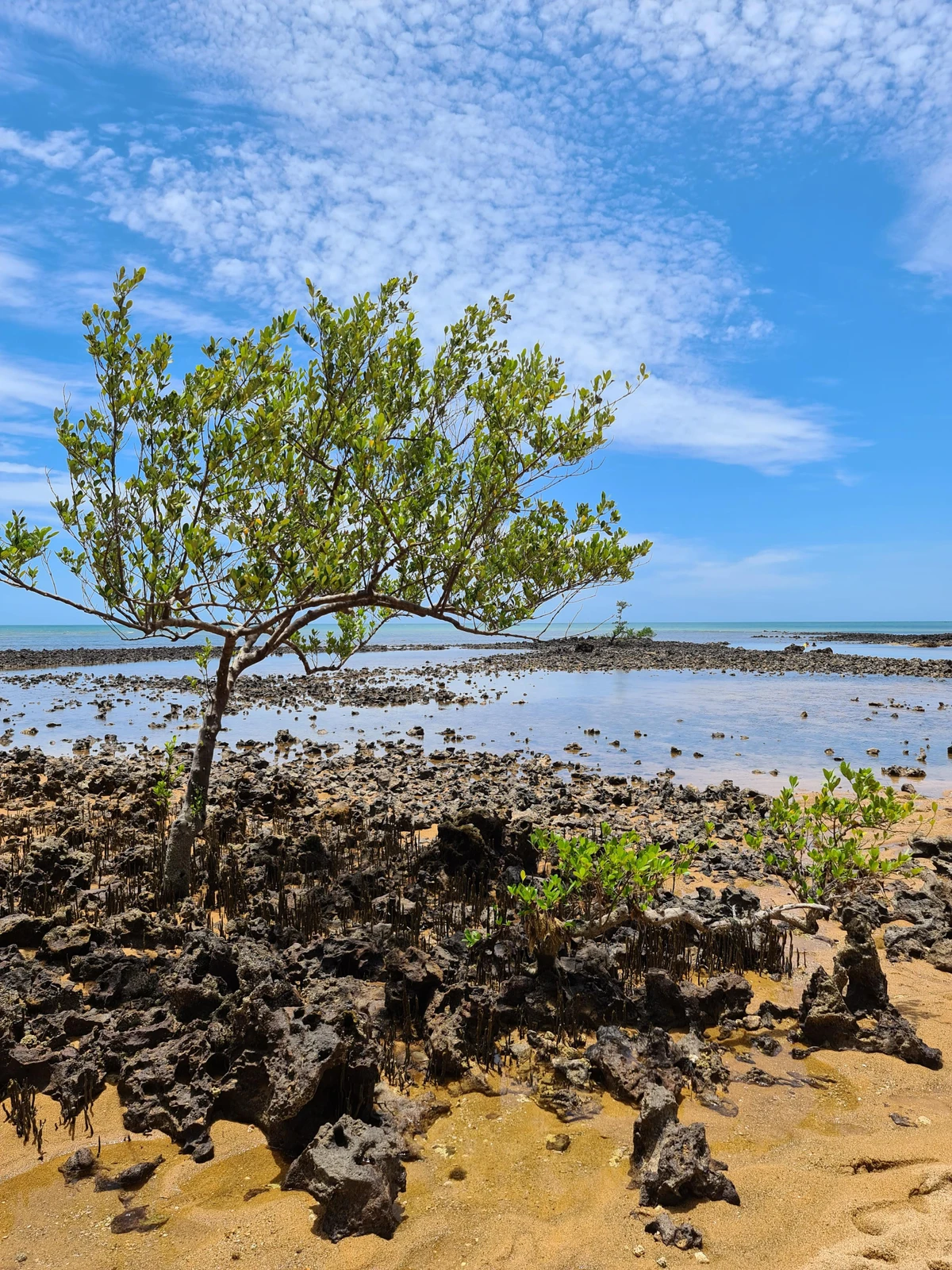 Praia da Biologia, em Aracruz