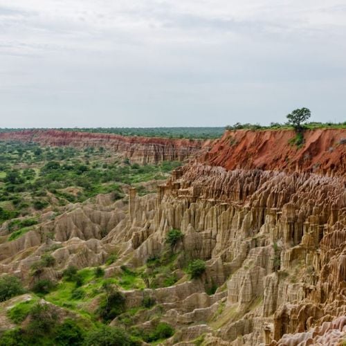 Imagem - 3 destinos exclusivos para explorar a vida selvagem africana