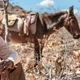 Imagem - Morador do ES, Markus Konká integra elenco de nova novela do Globoplay