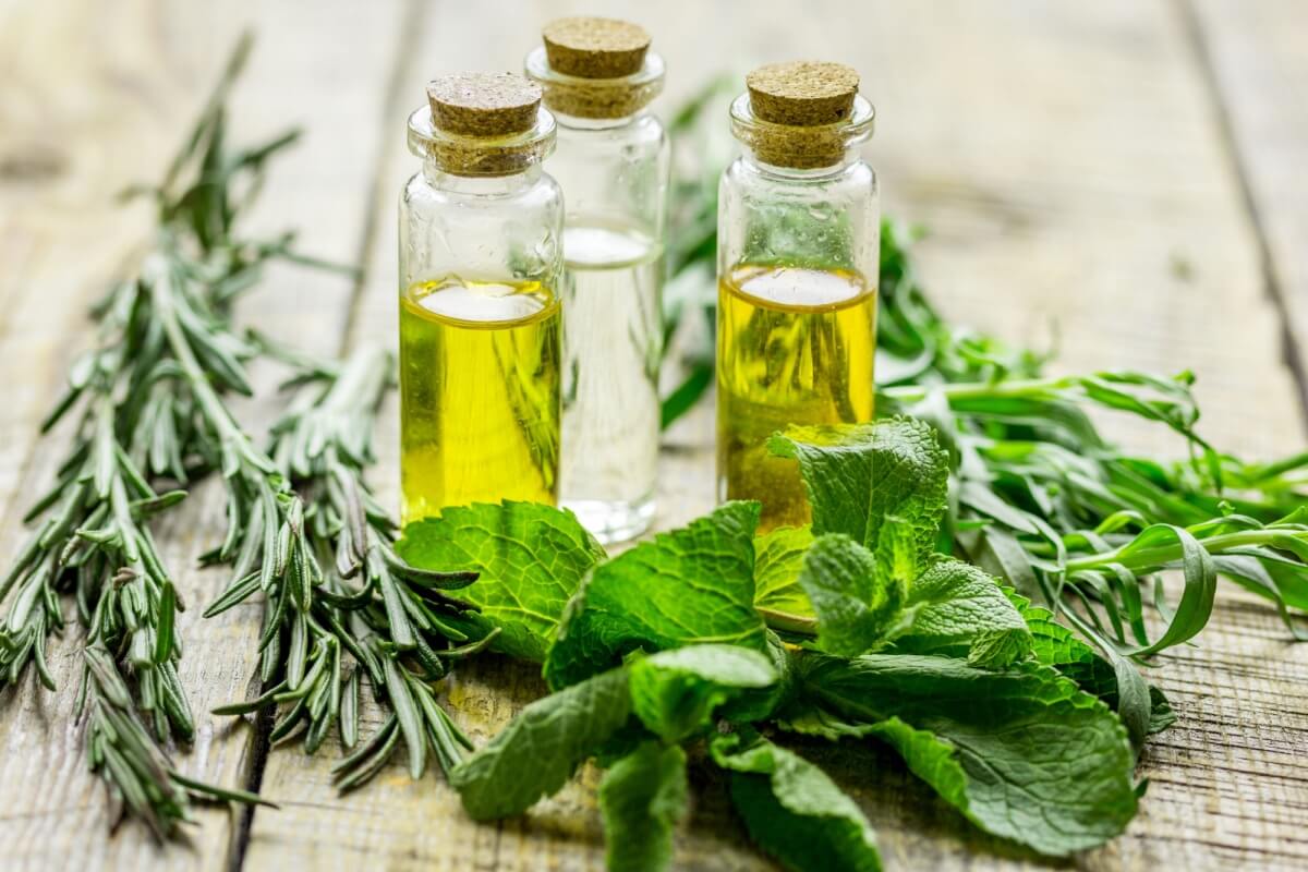 Os banhos ritualísticos potencializam as vibrações e abrem caminhos (Imagem: 279photo Studio | Shutterstock) 