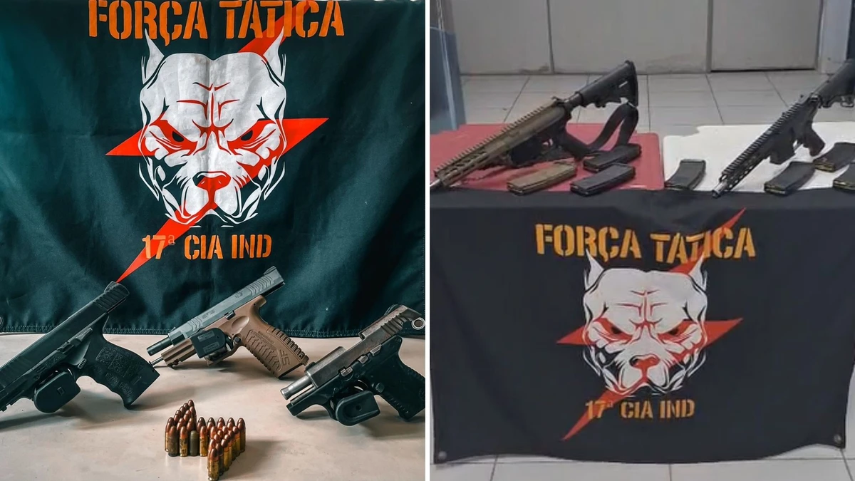 Fuzis, munições de guerra e três pistolas calibre 9mm são apreendidos em Vila Velha

