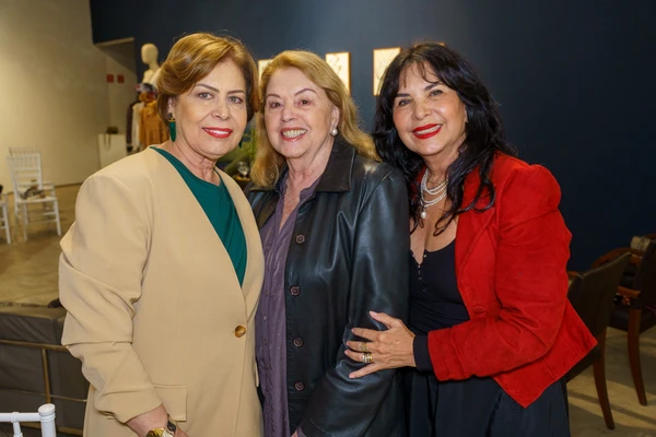 Sonia Abelha, Cida Assbu e Chis Abelha