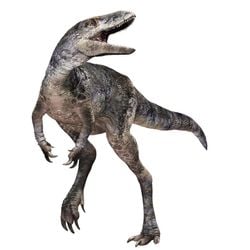 Os esqueletos de dinossauros encontrados em uma coleção de museu na Mongólia são ancestrais dos poderosos tiranossauros.