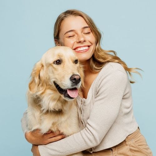Imagem - 7 raças de cachorro mais tranquilas 