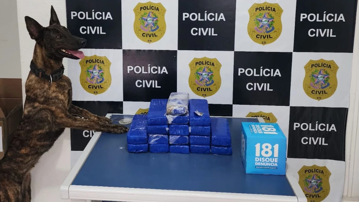 10kg de maconha foram apreendidos nos correios em Cachoeiro de Itapemirim