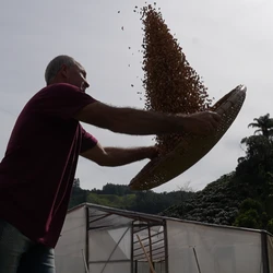 Produtores e empresários do Espírito Santo, que virou referência na produção de conilon e arábica de altas pontuações, estão de olho nesse filão