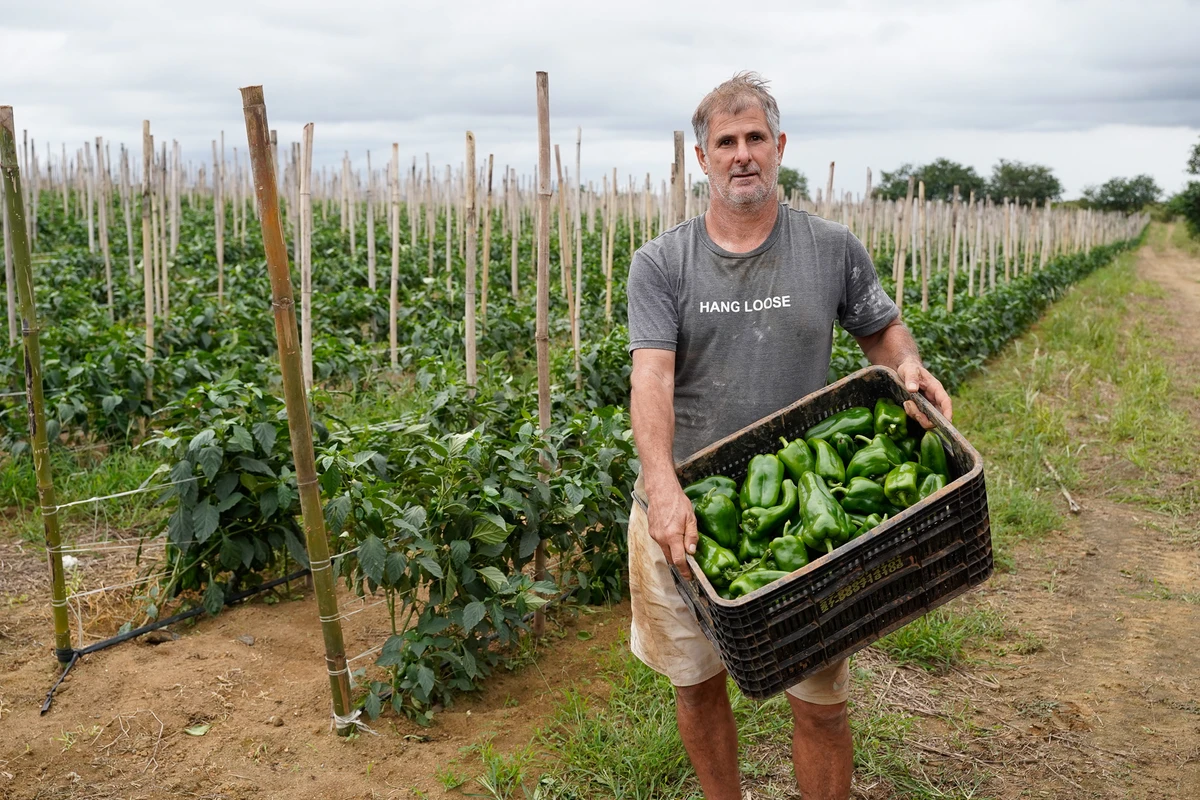 Sante Jovane Lorezon, produtor rural de Vila Velha