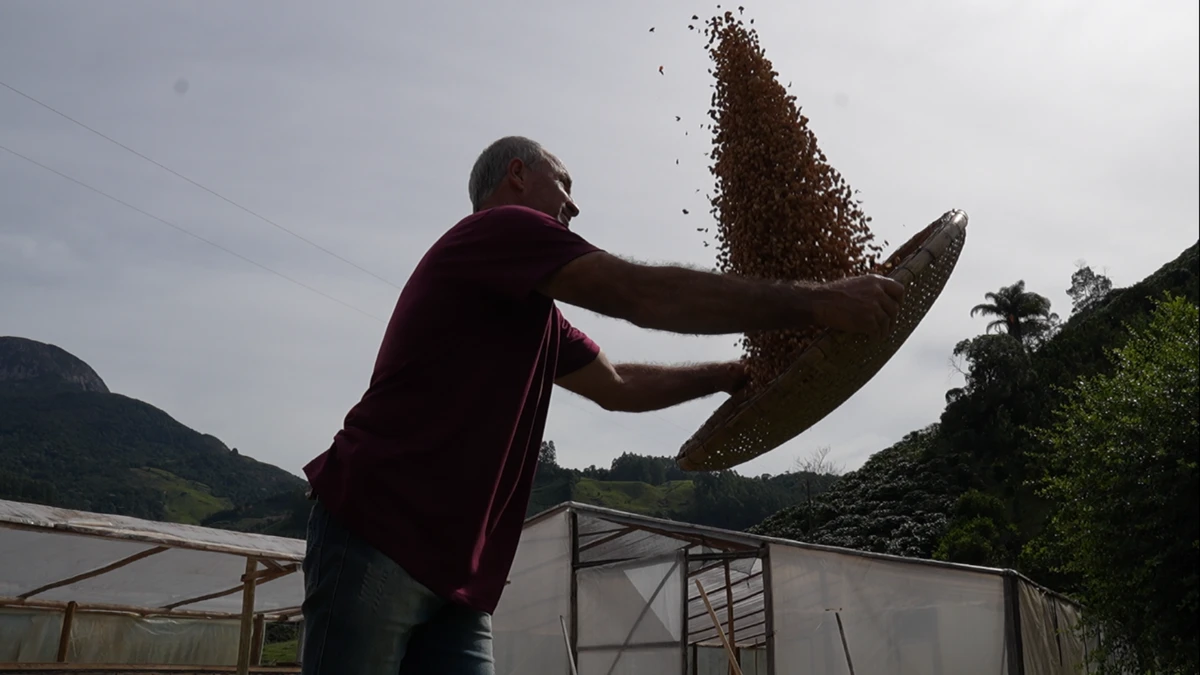 Valetim deixa a lida com o café um pouco de lando por causa do Corpus Christi