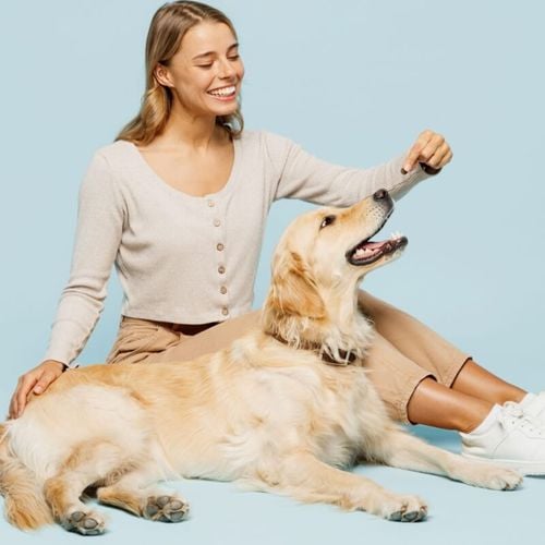 Imagem - Veja os sintomas e os tratamentos para artrite em animais